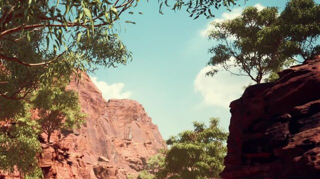 A rocky area is visible surrounded by trees under a bright blue sky. The landscape shows steep cliffs and greenery, suggesting a natural setting.