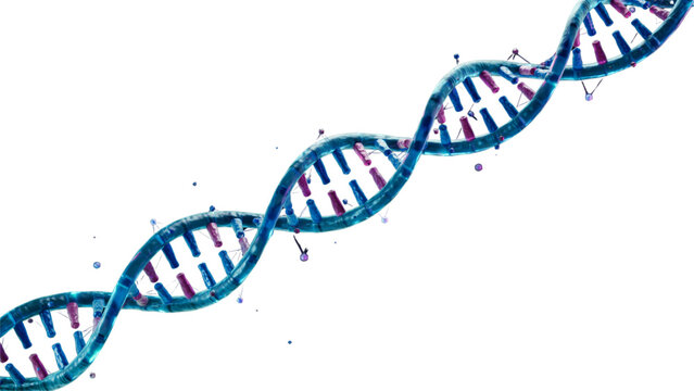 A detailed 3d illustration of a blue dna double helix strand representing genetic code and biological science research Vector
