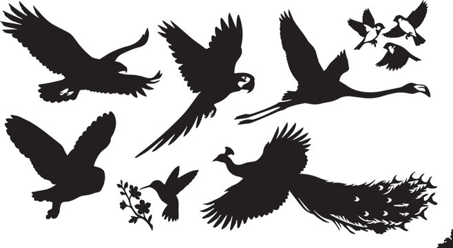 Bird silhouettes, flying birds, bird nests, black icons, vector graphics