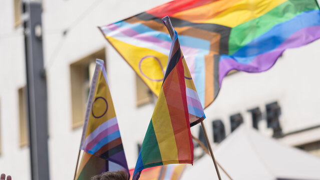 Progress Pride and nonbinary flags waving during CSD demonstration