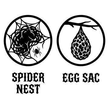 Spider nest and egg sac infographic icons set with illustration, arachnid