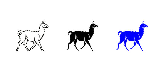 llama walking © Abdul
