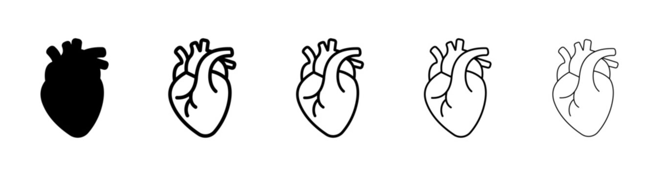 Anatomical human heart icon set with outline and solid styles, medical organ vector illustration