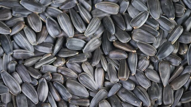 Closeup of roasted sunflower shells. Macro view highlighting seed shells and surface sheen. Detailed macro image emphasizing textures and varied sizes of sunflower seeds