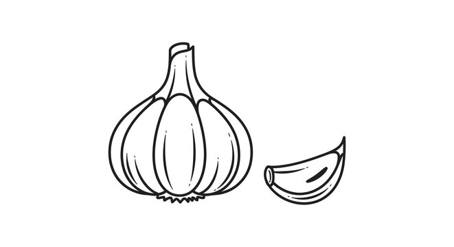 Garlic bulb and clove illustration hand drawn line art silhouette allium