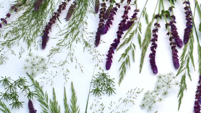 Natural Background with Summer Wild Meadow Flowers, Wildflowers, Herbs, Meadow Plants and Grasses Flat Lay Slow Motion Vertical Video