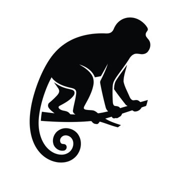 Black silhouette of a monkey on a tree branch