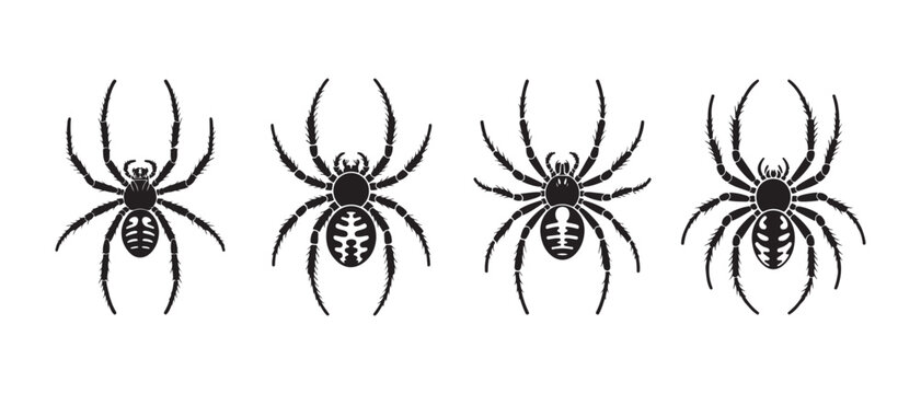 Set of Black Spider Icons Isolated on White Background in Minimalist Flat Vector Graphic Style.