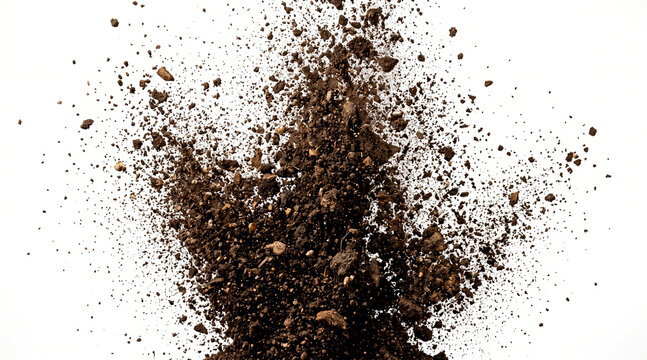 Dark brown soil particles exploding upward isolated on a crisp white background for earthy texture concepts