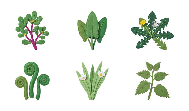 Felt/Fabric handcrafted collection featuring green botanical elements like dandelions spinach leaves and forest fiddlehead ferns