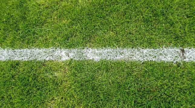 World cup football field grass with white boundary line for soccer games