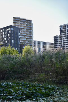 Modern Apartment Buildings and Nature at Martin Luther King Park in Paris, France