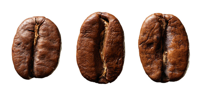 Three Coffee Beans Close Up: Roasted Arabica With Rich Aroma And Texture