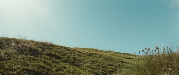 Obraz premium Green hillside under a clear blue sky