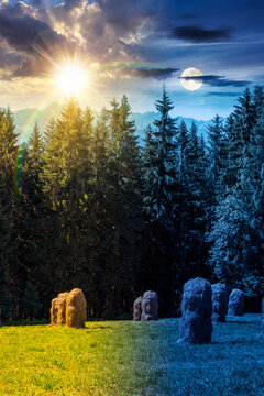 rural landscape with coniferous forest on a green hill. day meet night. sun and moon over spruce trees on grassy meadow in tatra mountains at twilight. summer solstice in poland. astrology wallpaper