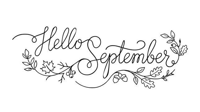 Line art vector illustration of decorative "Hello September" lettering with floral accents, symbolizing seasonal transition, autumn arrival and monthly greeting, isolated on a transparent background