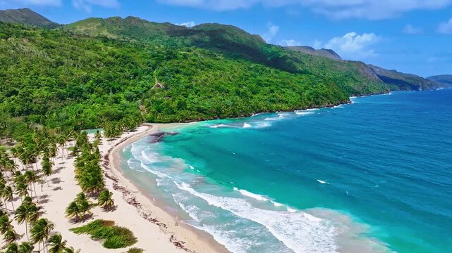 Coconut palms on sunny Rincon Beach with a turquoise sea on the paradise island of Samana. Tropical nature in the sunlight on the seashore. Summer vacation backdrop and beach concept.