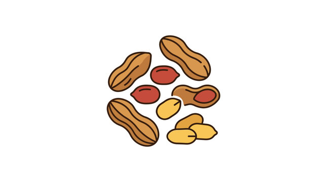 Hand Drawn Illustration of Various Peanuts and Groundnuts