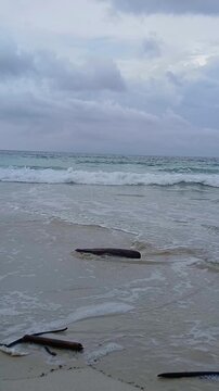 Sea waves washing over a piece of driftwood on the white sands of Radhanagar Beach, Havelock Island, Andaman, under a cloudy sky.