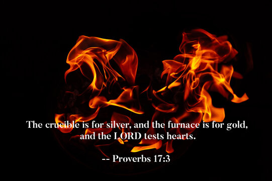 Proverbs 17 3