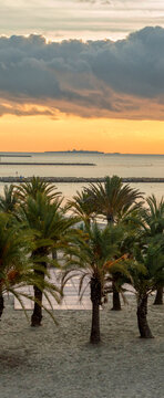 Sunrise with palm trees and Tabarca Island from Santa Pola