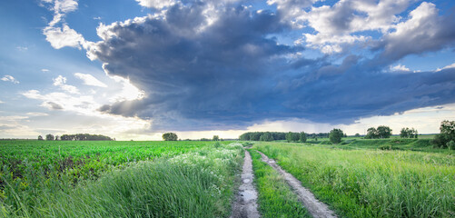 Fototapeta premium Vast green field stretches under dramatic sky