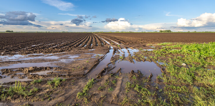 Mud pools reflect a cloudy sky above rows of freshly tilled earth