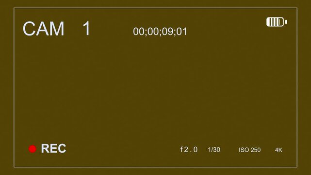 Camera 1 or CAM 1 Surveillance Camera Footage Overlay Animation with Alpha Channel, hacking or hacker, ideal for content to simulate reviewing security footage, documentary or other creative projects.