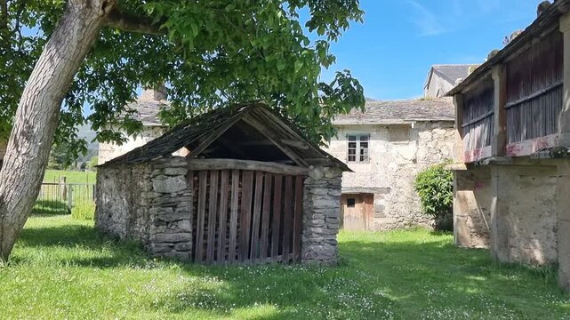 A traditional Galician stone horreo (granary) and rural outbuilding in a green meadow under a shady tree in Viveiro, Lugo province, Galicia, Spain, reflecting authentic rustic architecture.