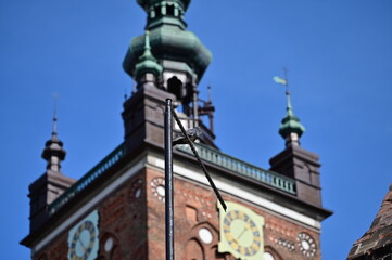 Fototapeta premium A pigeon on a lamppost and a church tower in the background