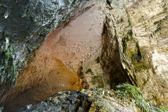 Detailed cave ceiling with earthy textures and plant growth