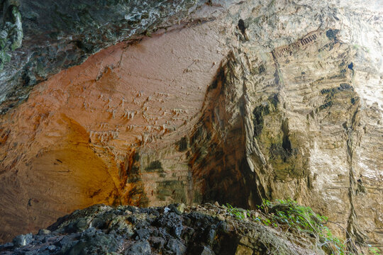 Detailed cave ceiling with earthy textures and plant growth
