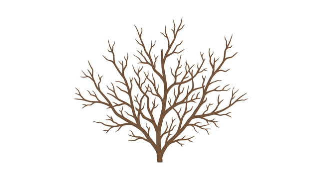 Detailed graphic of a leafless bare winter tree.