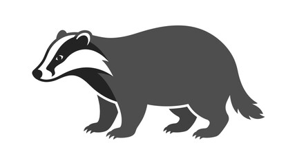 European badger animal illustration on white background. © edna