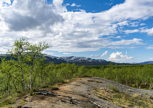 Sunny summer landscape of arctic tundra with rocky hill and snowy mountains in Lapland near Norway border