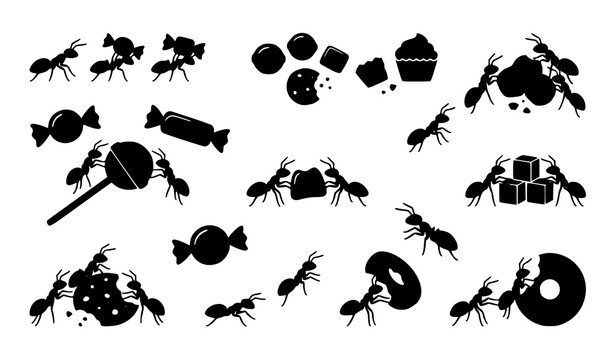  Black ant silhouette group carrying and eating sweets isolated minimalist vector illustration set