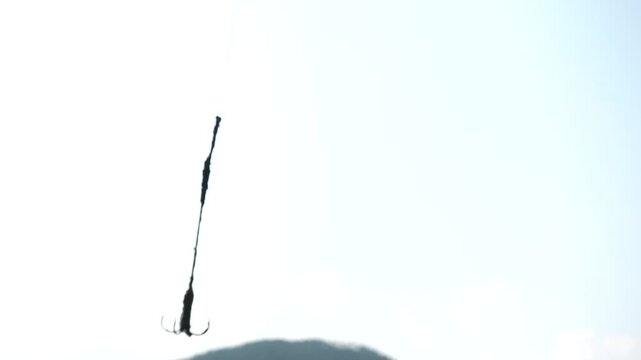 Korean traditional fishing bluespotted mudskipper Jjantungoe mudflat fisherman culture 대한민국 한국 전통 어업 수산업 짱뚱어낚시 전통낚시 갯벌 서남해안 순천만 보성 신안 어부 짱뚱어 홀치기낚시 전통어업 보양식 뻘배 바다 썰물 물빠짐 해안선 진흙 지형 생태계 자연 환경 야생동물 생물학 관찰