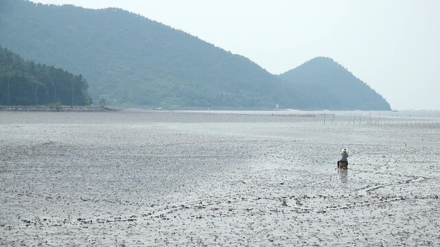 Korean traditional fishing bluespotted mudskipper Jjantungoe mudflat fisherman culture 대한민국 한국 전통 어업 수산업 짱뚱어낚시 전통낚시 갯벌 서남해안 순천만 보성 신안 어부 짱뚱어 홀치기낚시 전통어업 보양식 뻘배 바다 썰물 물빠짐 해안선 진흙 지형 생태계 자연 환경 야생동물 생물학 관찰