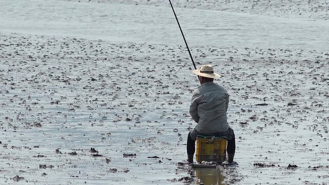 Korean traditional fishing bluespotted mudskipper Jjantungoe mudflat fisherman culture 대한민국 한국 전통 어업 수산업 짱뚱어낚시 전통낚시 갯벌 서남해안 순천만 보성 신안 어부 짱뚱어 홀치기낚시 전통어업 보양식 뻘배 바다 썰물 물빠짐 해안선 진흙 지형 생태계 자연 환경 야생동물 생물학 관찰