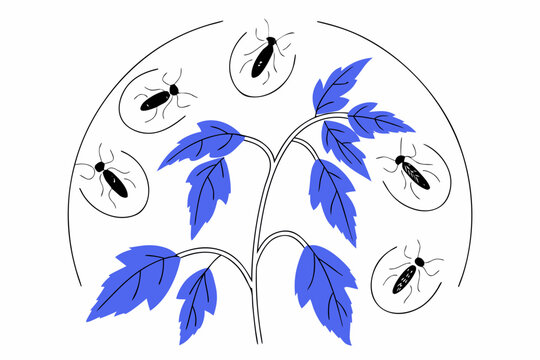 Whitefly Infestation on Tomato Plant Vector Illustration