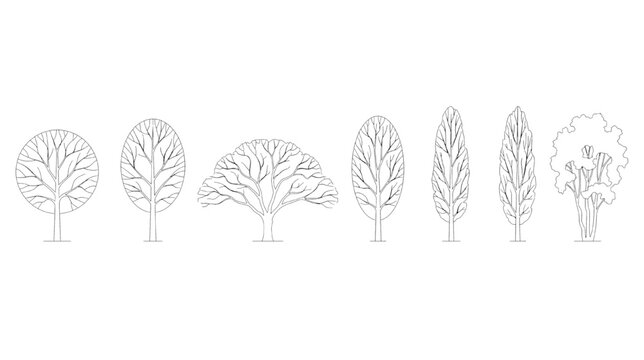 Collection of 2D CAD tree elevation symbols for architectural site plan design and landscaping architectural vector drawings