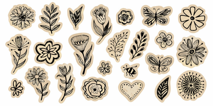 Botanical illustrations set hand drawn floral and insect vector graphics