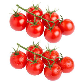 Set of ripe red tomatoes on green branches, isolated on transparent cutout background