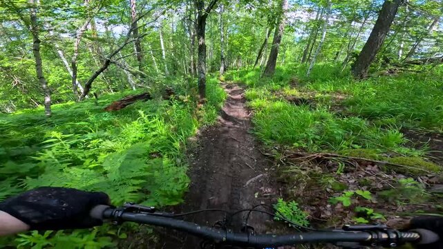 A mountain biker riding along a narrow path in a dense forest, from a first person perspective. Extreme cycling in the mountains POV extreme mountain bike on a muddy trail. A cyclist rides off-road in