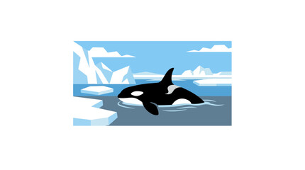 Orca whale swimming in arctic ocean with icebergs. © mazayaaba