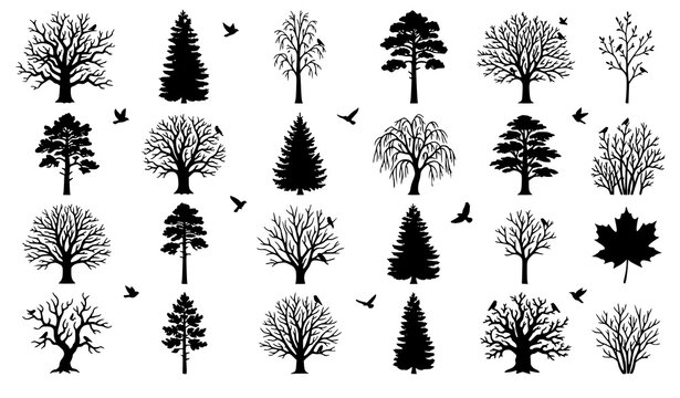 Winter and Autumn Tree Silhouettes with Birds Forest Park and Spruce Trees Vector Collection
