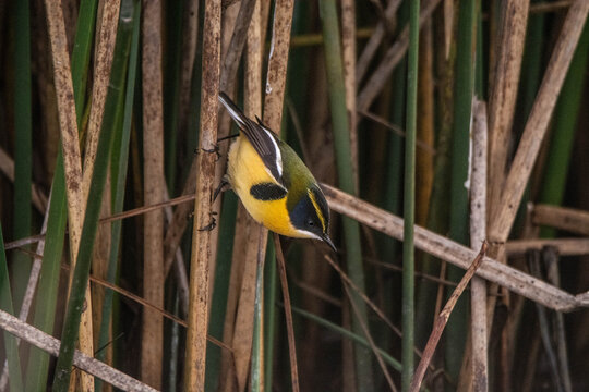 Naturaleza en su esplendor 