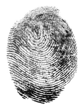 Single black fingerprint made with ink on a white background. Real fingerprint. Macro black human fingerprint.