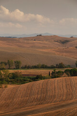 Naklejka premium Rolling Hills and Plowed Fields of Tuscany in Summer, Val d'Orcia Landscape, Italy