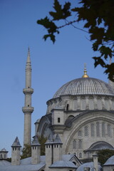 Naklejka premium Nuruosmaniye Mosque Dome and Minaret Framed by Tree Branches, Istanbul Turkey